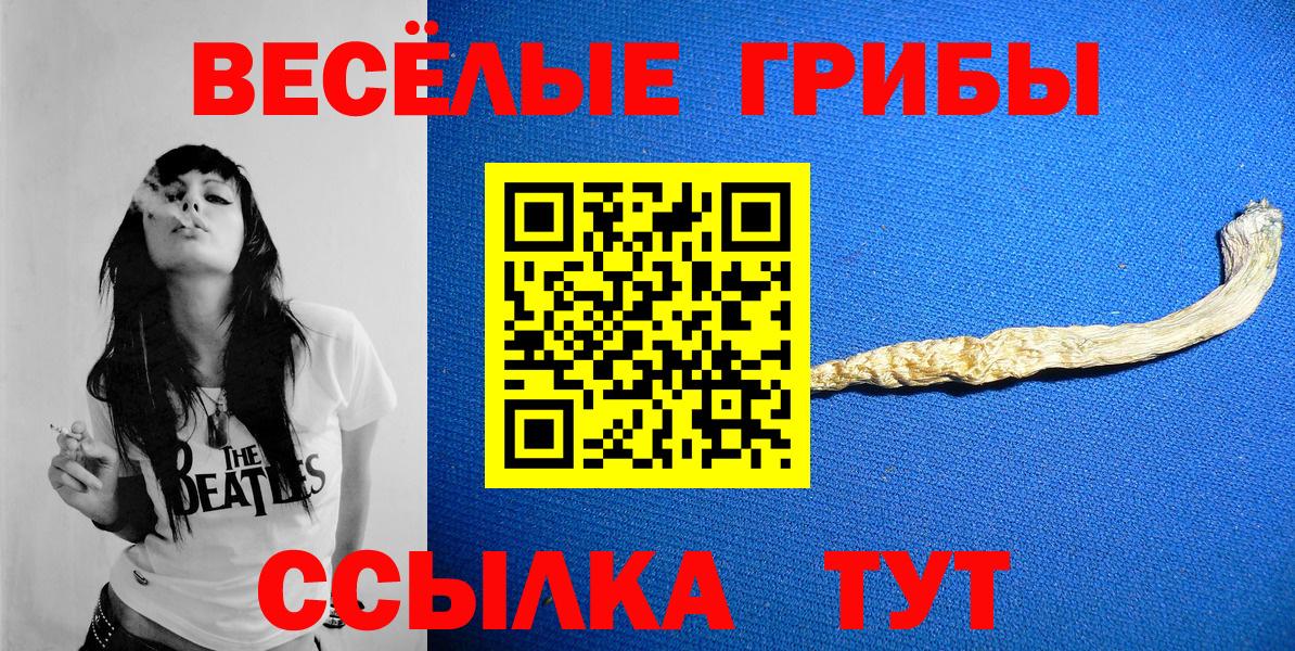 Магнитогорск  Псилоцибиновые грибы прущие грибы  Псилоцибиновые грибы Cubensis  Вход с VPN 